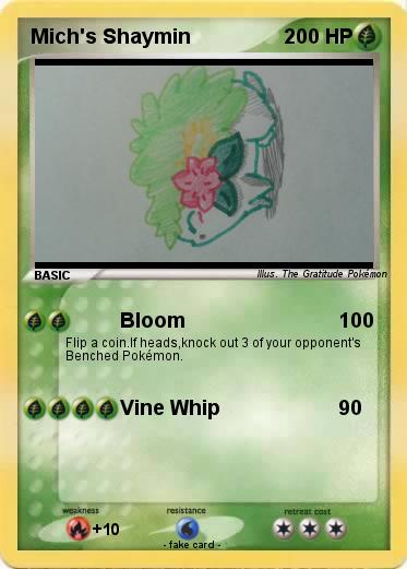 Pokemon Mich's Shaymin