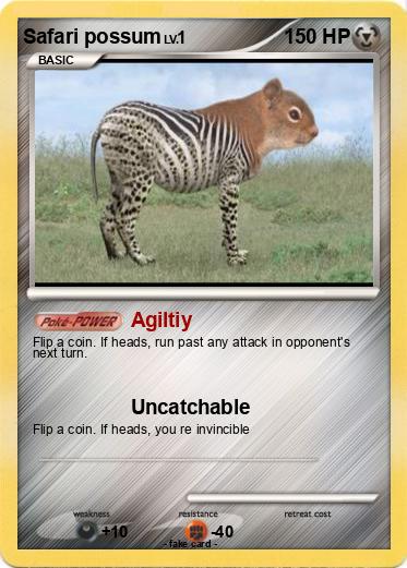 Pokemon Safari possum