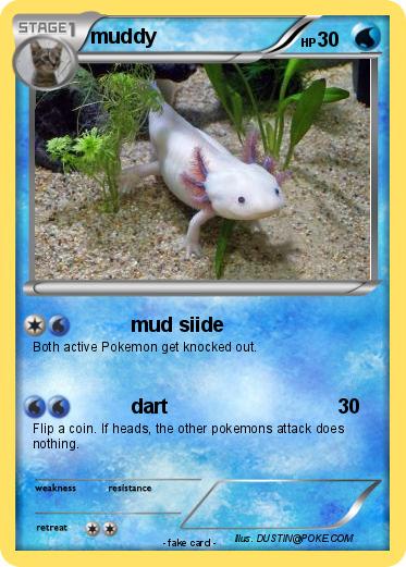 Pokemon muddy