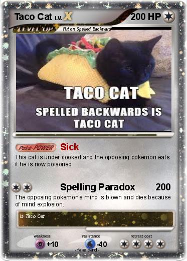 Pokemon Taco Cat