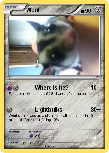 Pokemon Wont