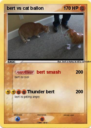 Pokemon bert vs cat ballon