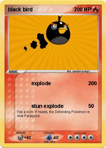 Pokemon black bird