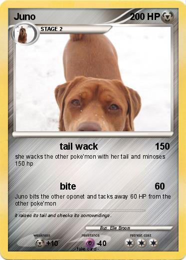 Pokemon Juno
