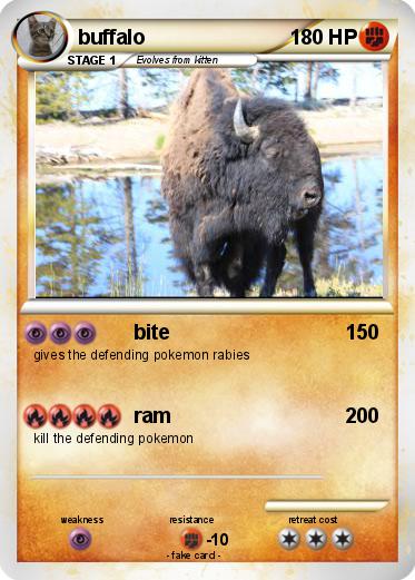 Pokemon buffalo