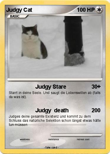 Pokemon Judgy Cat