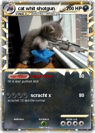 Pokemon cat whit shotgun