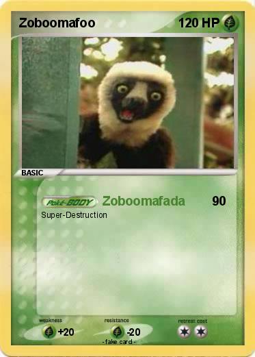 Pokemon Zoboomafoo