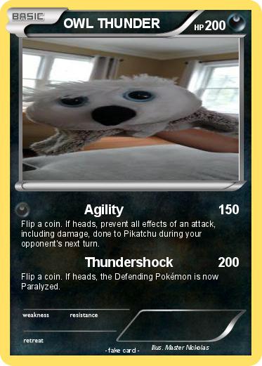 Pokemon OWL THUNDER