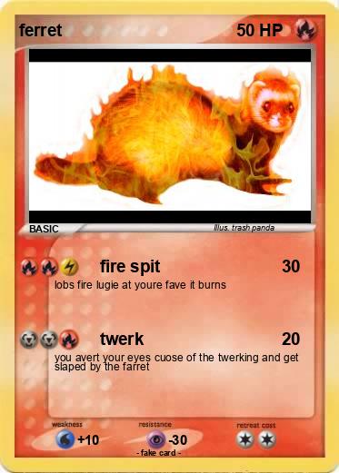 Pokemon ferret