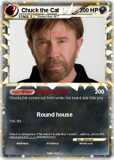 Pokemon Chuck the Cat