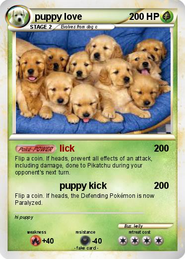 Pokemon puppy love