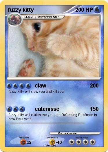 Pokemon fuzzy kitty