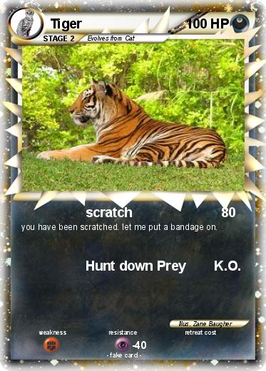 Pokemon Tiger