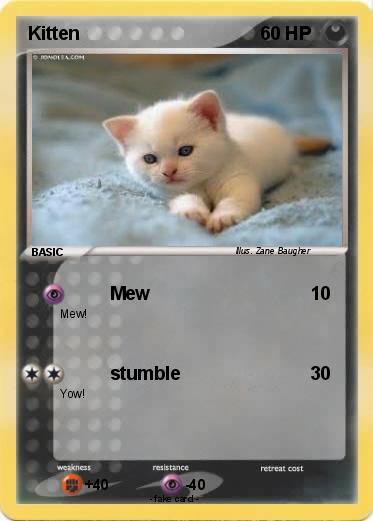 Pokemon Kitten