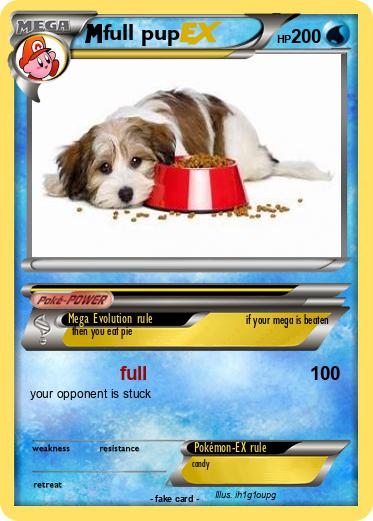 Pokemon full pup