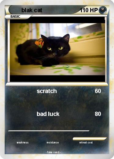 Pokemon blak cat