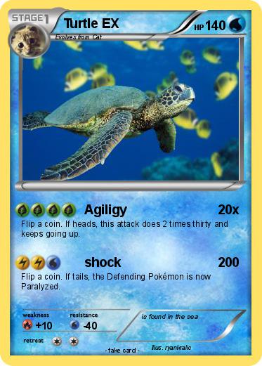 Pokemon Turtle EX