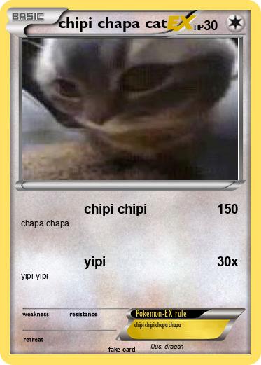 Pokemon chipi chapa cat