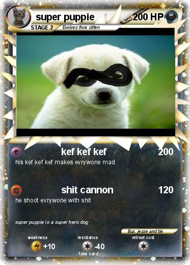 Pokemon super puppie