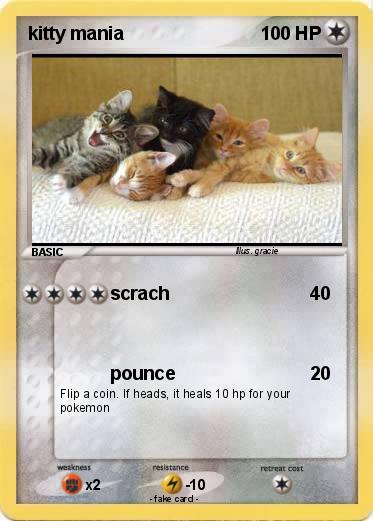 Pokemon kitty mania