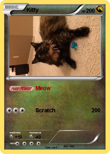 Pokemon Kitty