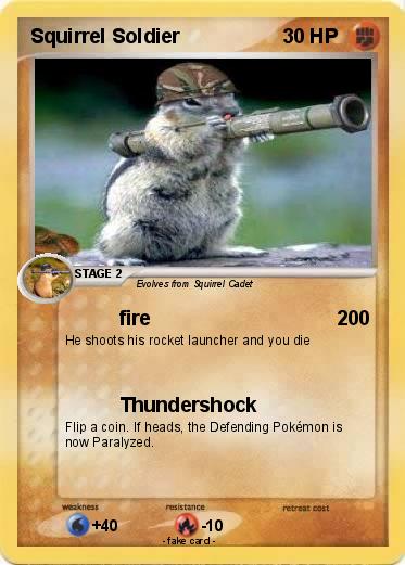 Pokemon Squirrel Soldier