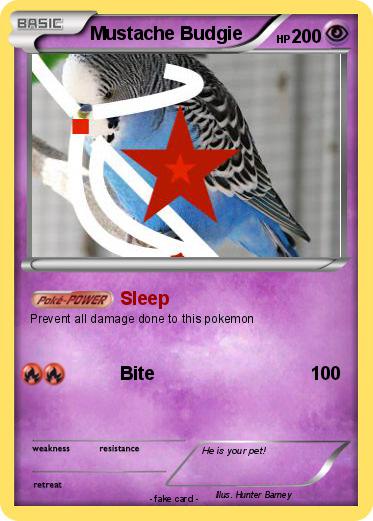 Pokemon Mustache Budgie