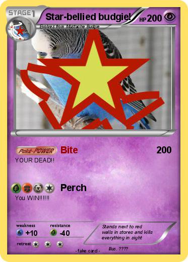 Pokemon Star-bellied budgie!