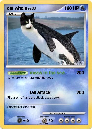 Pokemon cat whale