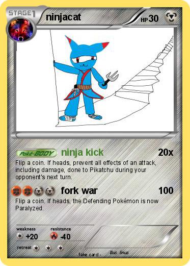 Pokemon ninjacat