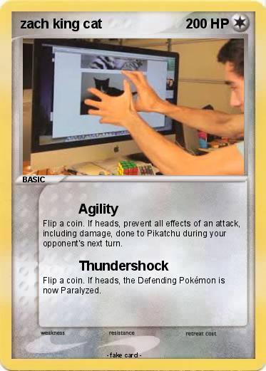 Pokemon zach king cat