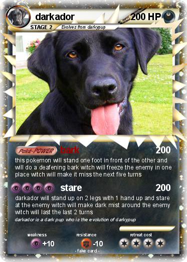 Pokemon darkador