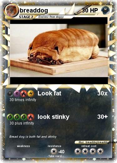 Pokemon breaddog