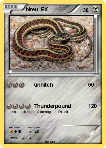 Pokemon biteu  EX