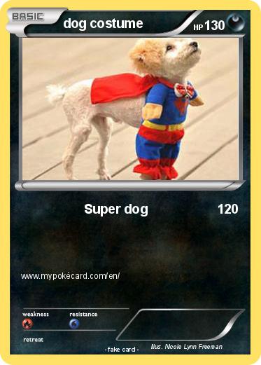 Pokemon dog costume