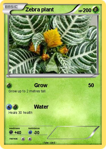 Pokemon Zebra plant