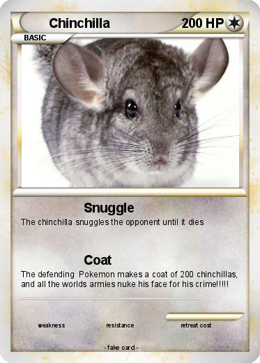 Pokemon Chinchilla