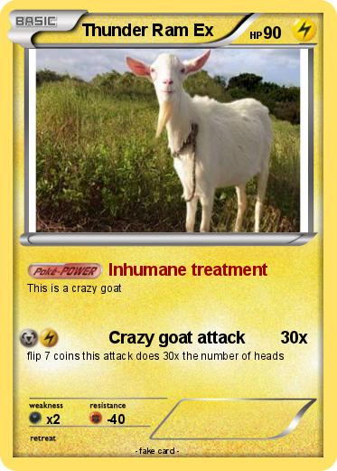 Pokemon Thunder Ram Ex