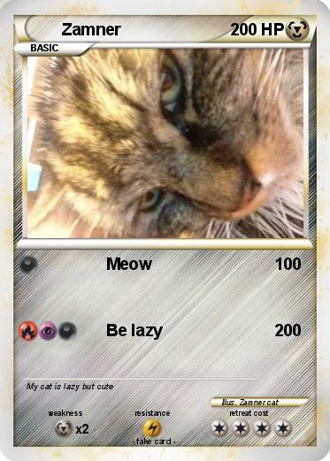 Pokemon Zamner