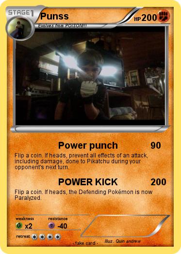 Pokemon Punss