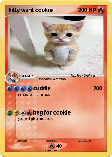 Pokemon kitty want cookie