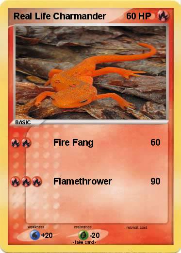 Pokemon Real Life Charmander