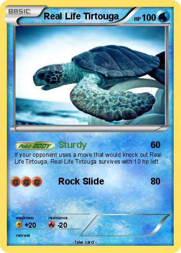 Pokemon Real Life Tirtouga