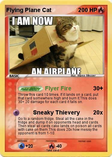 Pokemon Flying Plane Cat