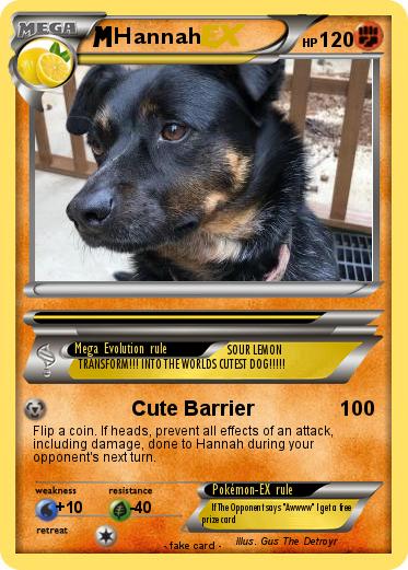 Pokemon Hannah