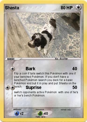 Pokemon Shasta