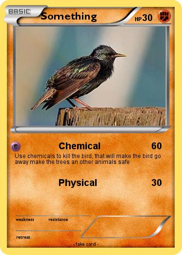 Pokemon Something