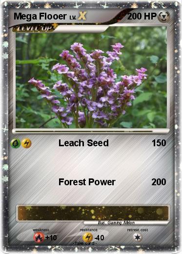 Pokemon Mega Flooer
