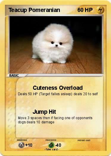 Pokemon Teacup Pomeranian